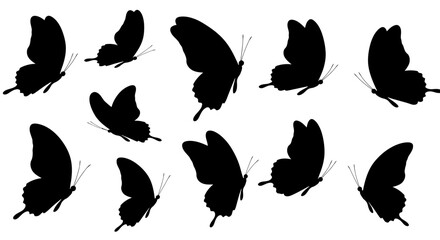 Fototapeta premium Elegant black butterfly silhouettes on a white background creating a pattern