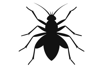 Silhouette illustration of a small aphid insect on a clean white background