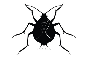 Detailed silhouette illustration of a single aphid on a clean white background