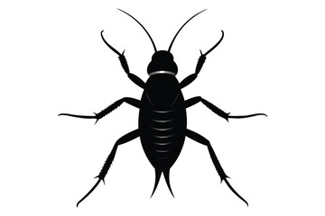 Detailed silhouette illustration of an earwig insect on a clean white background