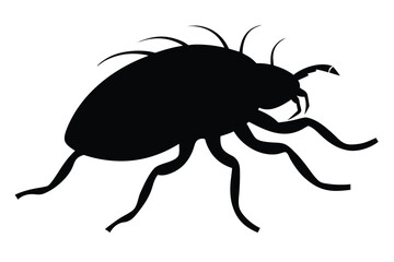 Clean silhouette illustration of a flea on a white background
