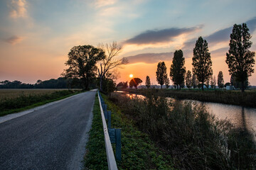Obraz premium sole che tramonta all'orizzonte, dietro la vegetazione di un ambiente naturale della campagna nel nord-est Italia e colora il cielo di arancione