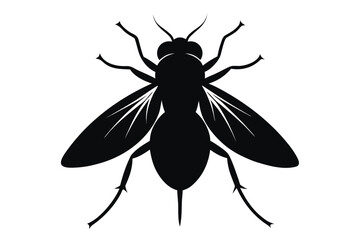 Detailed silhouette illustration of a common housefly on a clean white background