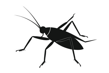 Silhouette illustration of a katydid insect on a clean white background
