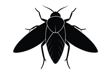 Minimalist silhouette illustration of a leafhopper insect on a white background