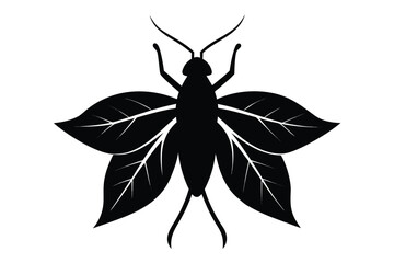 Detailed silhouette illustration of a leaf insect with intricate natural details