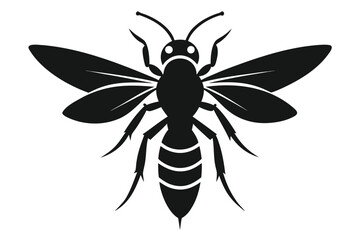 Detailed silhouette illustration of a wasp insect on a clean white background