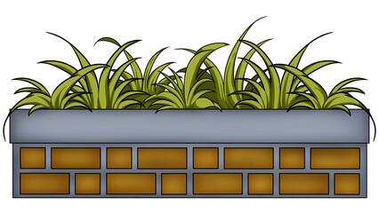 plant in the window