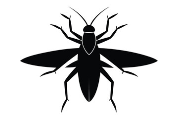 Minimalist silhouette illustration of a water boatman insect in white