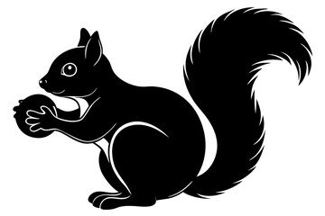 squirrel on white background