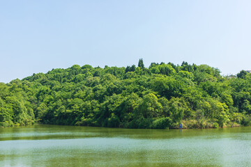 The green forest in Donghu Mountain Park, Deyang City, Sichuan Province, China