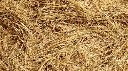 Dry Straw Background Texture for Agriculture and Farming Projects