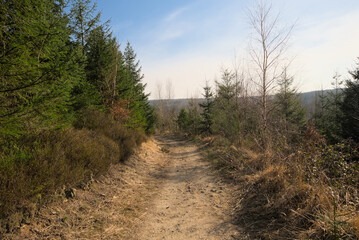  Dirt road n the woods on a sunny day with blue sky near Eupen, Belgium 
