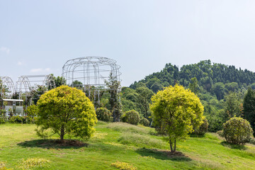 The green lawn in Donghu Mountain Park, Deyang City, Sichuan Province, China