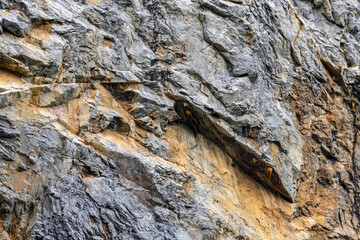 View of large honeycomb or beehives perched on beautiful rock cliff cave with worker bees perched on nest in forest. Honeybee swarm hanging on cliff in forest. Large Honeycomb nest on the rocks.