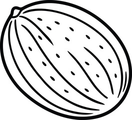 Whole nutmeg line art vector illustration