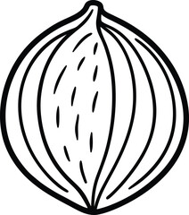 Whole nutmeg line art vector illustration
