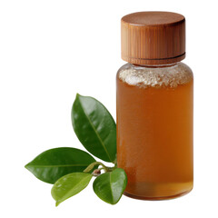 Natural Herbal Extract in a Glass Bottle with Wooden Lid and Leaves
