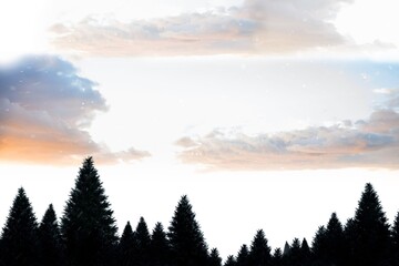 Fototapeta premium Snow falling on fir tree forest