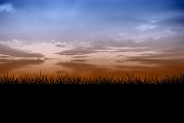 Displaying silhouetting tall grasses spanning width, showing layered clouds and gradient dawn sky