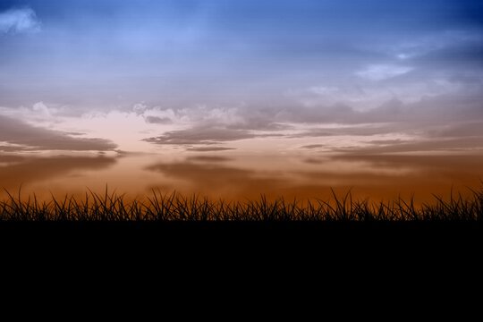 Fototapeta Displaying silhouetting tall grasses spanning width, showing layered clouds and gradient dawn sky