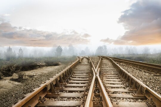 Fototapeta Railway tracks leading to misty forest