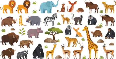 Keuken achterwand Dierentuin Diverse collection of illustrated African safari animals, including lion and giraffe  © Zelish