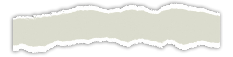 Realistic torn paper edge. Ripped Pale Olive paper mockup isolated on transparent background. Piece of rip paper PNG. mockup template