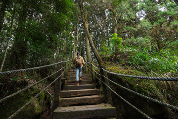 Female hiker exploring forest path in autumn