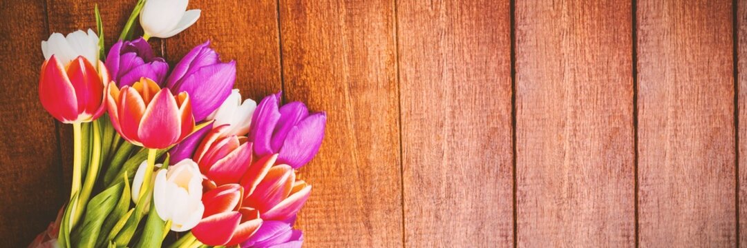 Fototapeta Vibrant tulip bouquet with green stems is resting on rustic wooden plank surface, copy space