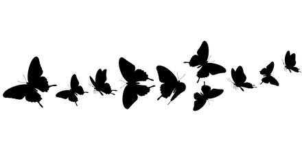 Fototapeta premium Elegant Butterfly Silhouettes Flying in Formation, a Dynamic Graphic Design Element
