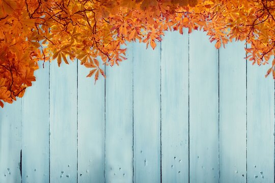 Fototapeta Flat design showing weathered blue wooden planks being topped by vibrant autumn leaves border