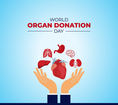 World Organ Donation Day. 13 August. Holiday concept. Template for background with banner, poster and card. Flat illustration. Vector illustration.