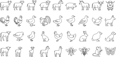 Farm animals and insects line art collection for coloring books
