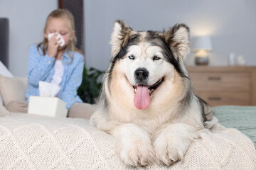 Girl suffering from allergy with her dog on bed at home, selective focus