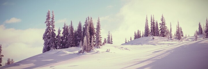 Fototapeta premium Snowcapped and forest during winter