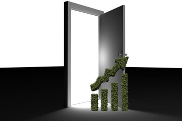 Fototapeta premium Graph diagram of topiary against door on floor