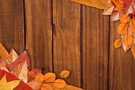 Fototapeta Multicolored autumn leaf cluster is resting on flat design wooden plank backdrop