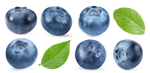 Fresh blueberries and green leaves isolated on white, collage