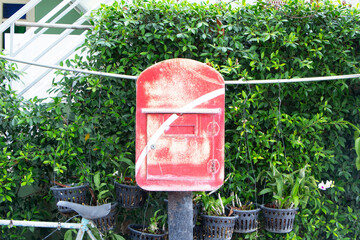 Thailand old iron, steel red box mailbox on green tree fence is background. For receiving letters...