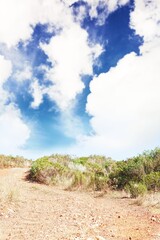 Landscape view of grassy field against sky
