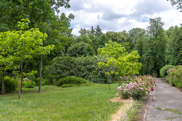 Obraz premium Bright green landscaped park on a summer day