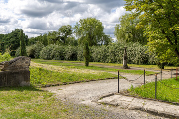 Green park in the city