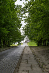 Long road in the park