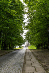 Long road in the park