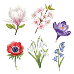 A vibrant illustration showcasing a collection of various colorful, detailed spring flowers.