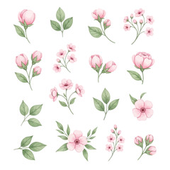Collection of illustrated pink blossoms and green leaves arranged in a decorative pattern on a white background.