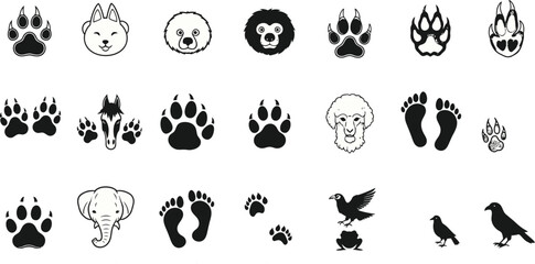 Animal tracks and head vector illustration featuring diverse wildlife