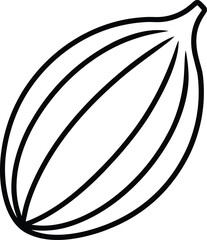 Cardamom pod line art vector illustration graphic