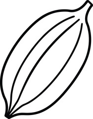 Cardamom pod line art vector illustration graphic